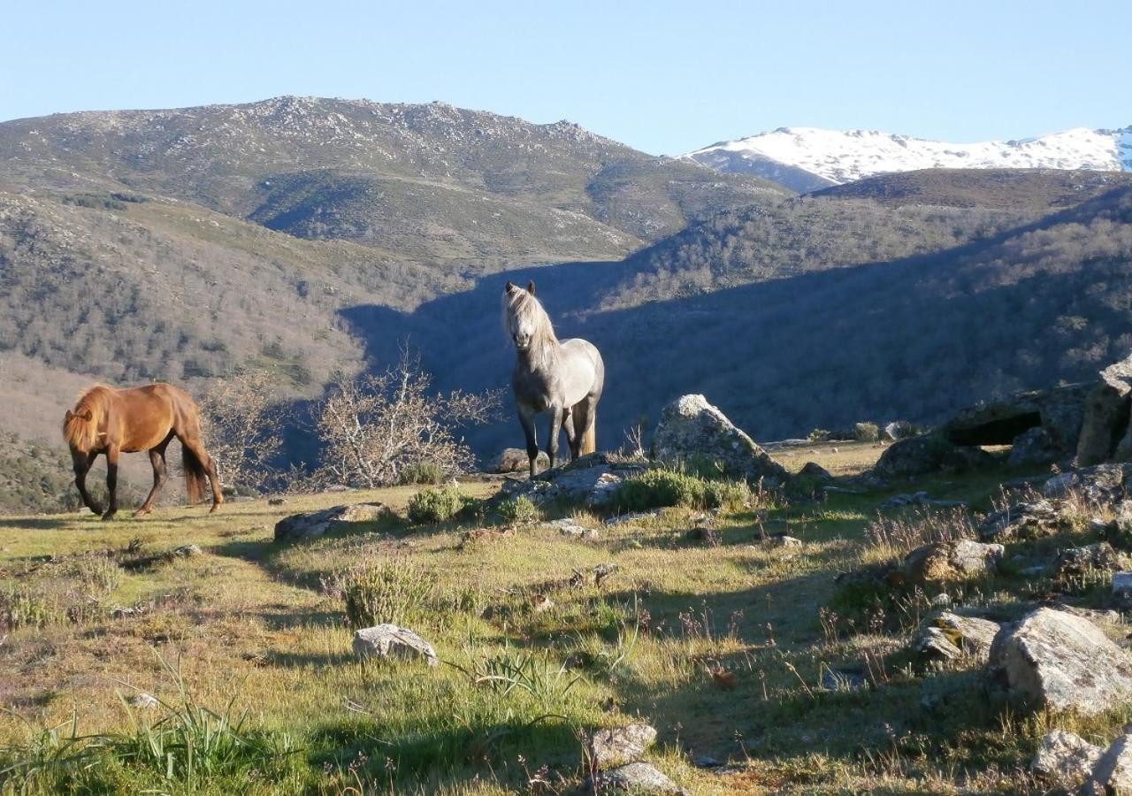 Casa Sebastiana Lejlighed Losar De La Vera Eksteriør billede